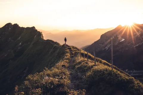 unbegrenzte Stellenausschreibung